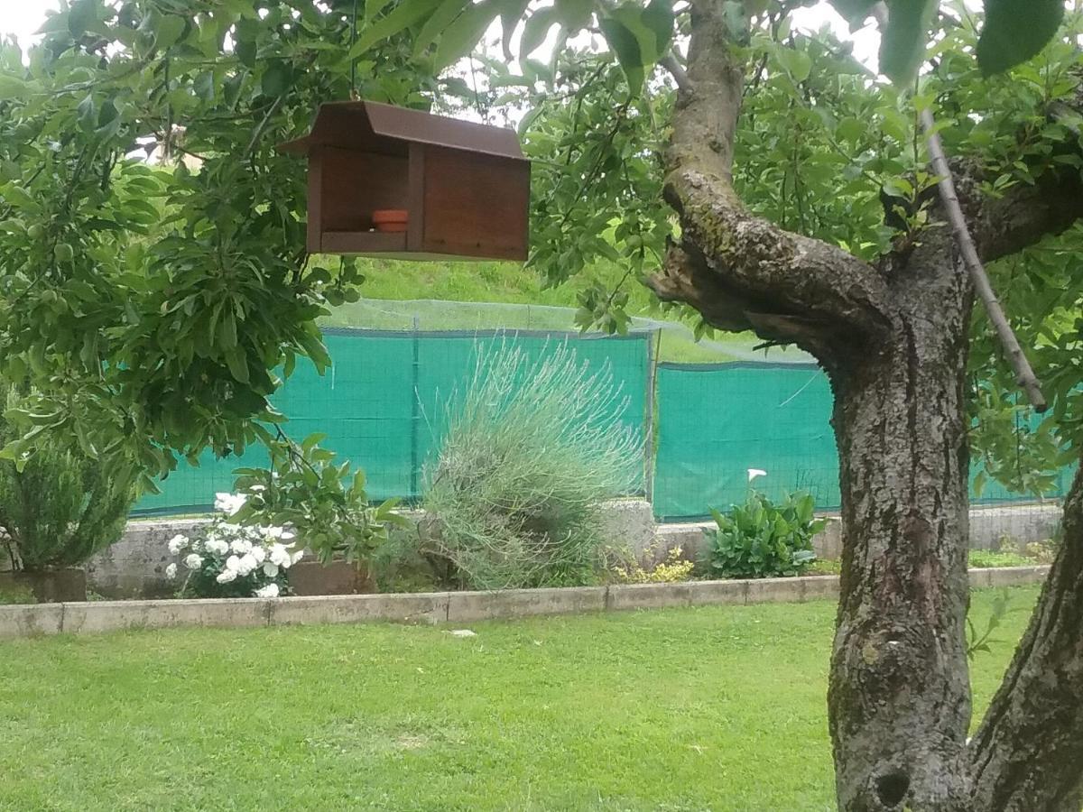 B&B Cuore San Daniele del Friuli Zewnętrze zdjęcie